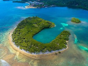 Hermosa toma aérea Playa en Roatan Islas de la Bahía Honduras
