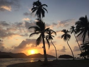 Isla de los Monos en Panamá, paisaje exuberante con fauna silvestre