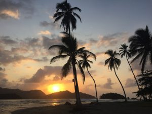 Fotografía de la Isla de los Monos en Panamá, rodeada de frondosa vegetación y fauna silvestre