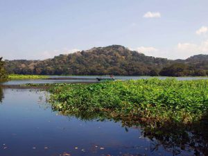 Vista panorámica de Isla de los Monos con un pueblo indígena en el Lago Gatún, rodeado de exuberante vegetación