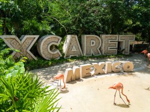 Xcaret Arte
